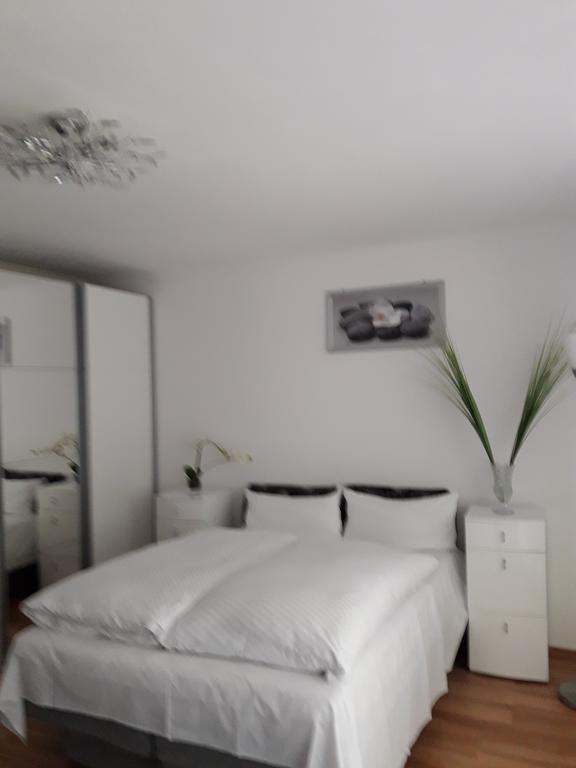 Apartment Near Villa Turgenev Baden-Baden Ngoại thất bức ảnh