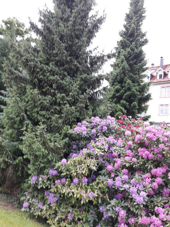 Apartment Near Villa Turgenev Baden-Baden Ngoại thất bức ảnh