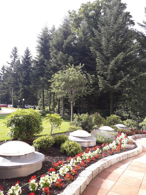 Apartment Near Villa Turgenev Baden-Baden Ngoại thất bức ảnh