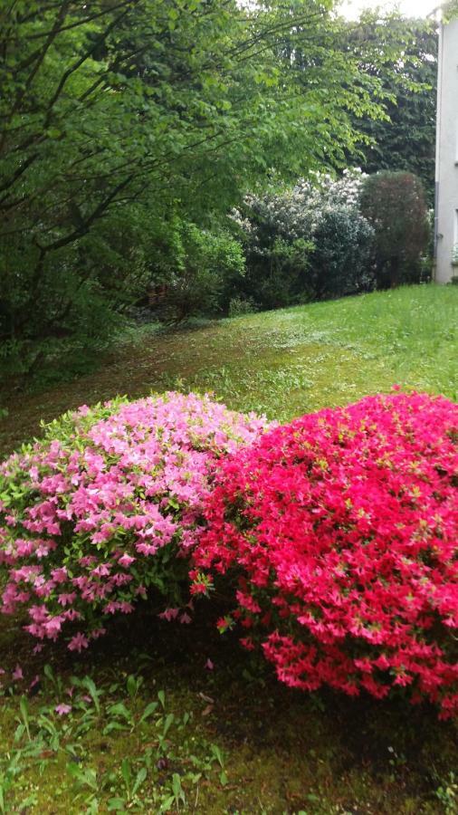 Apartment Near Villa Turgenev Baden-Baden Ngoại thất bức ảnh